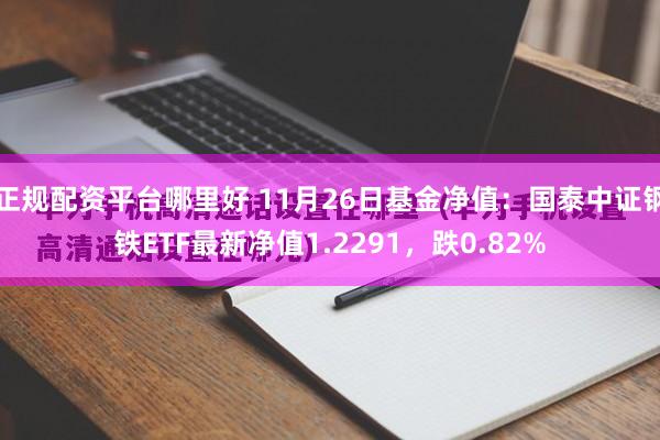 正规配资平台哪里好 11月26日基金净值：国泰中证钢铁ETF最新净值1.2291，跌0.82%