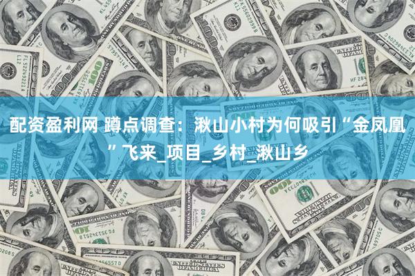 配资盈利网 蹲点调查：湫山小村为何吸引“金凤凰”飞来_项目_乡村_湫山乡