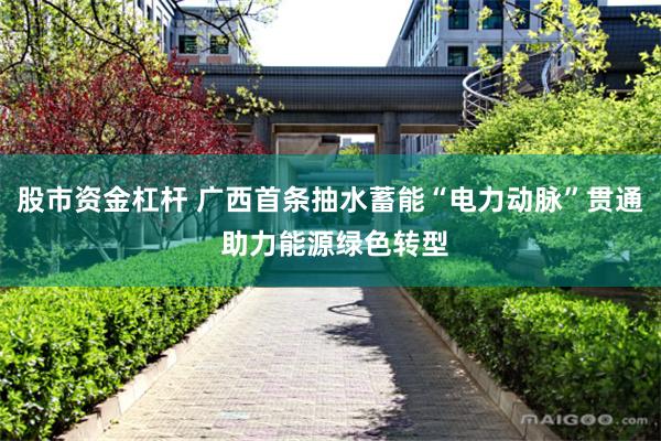 股市资金杠杆 广西首条抽水蓄能“电力动脉”贯通 助力能源绿色转型