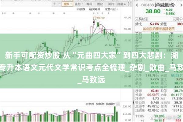 新手可配资炒股 从“元曲四大家”到四大悲剧：湖南专升本语文元代文学常识考点全梳理_杂剧_散曲_马致远