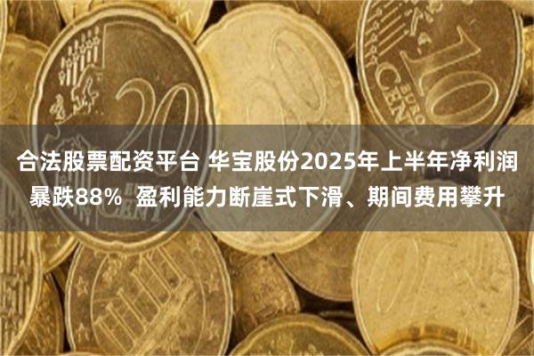 合法股票配资平台 华宝股份2025年上半年净利润暴跌88%  盈利能力断崖式下滑、期间费用攀升