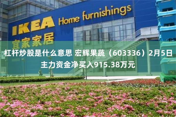 杠杆炒股是什么意思 宏辉果蔬（603336）2月5日主力资金净买入915.38万元