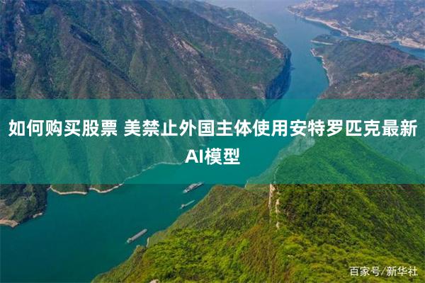 如何购买股票 美禁止外国主体使用安特罗匹克最新AI模型