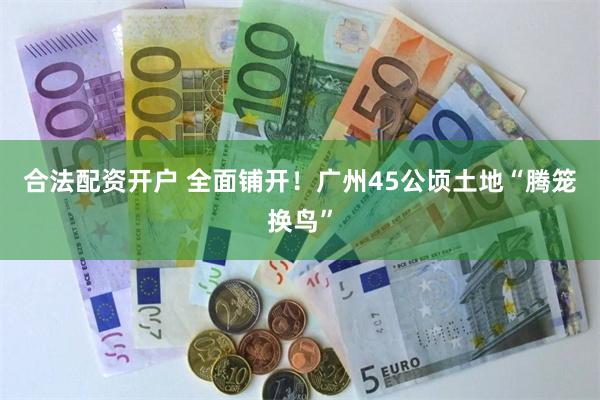 合法配资开户 全面铺开！广州45公顷土地“腾笼换鸟”