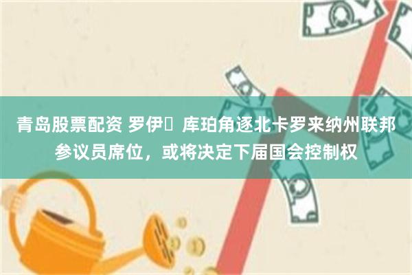 青岛股票配资 罗伊・库珀角逐北卡罗来纳州联邦参议员席位，或将决定下届国会控制权