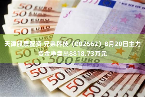天津股票配资 兄弟科技（002562）8月20日主力资金净卖出8818.73万元