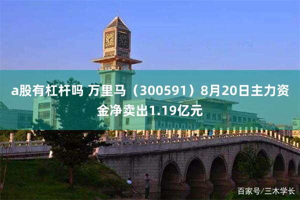 a股有杠杆吗 万里马（300591）8月20日主力资金净卖出1.19亿元