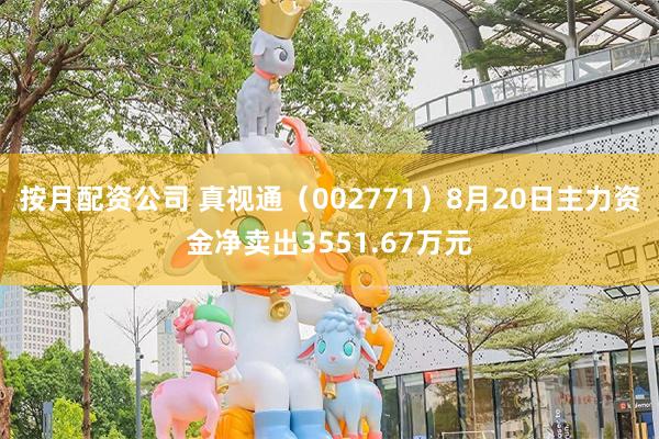 按月配资公司 真视通（002771）8月20日主力资金净卖出3551.67万元