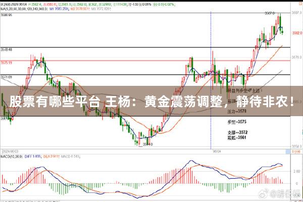 股票有哪些平台 王杨:黄金震荡调整,静待非农!