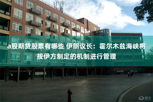 a股期货股票有哪些 伊朗议长：霍尔木兹海峡将按伊方制定的机制进行管理