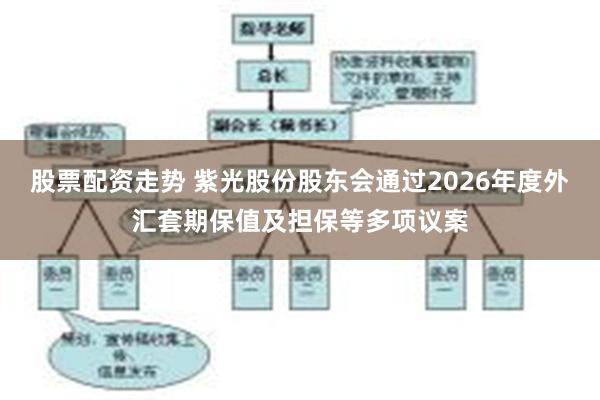 股票配资走势 紫光股份股东会通过2026年度外汇套期保值及担保等多项议案
