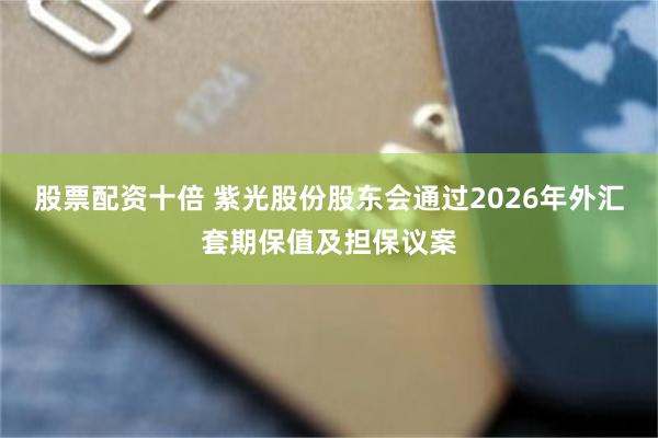 股票配资十倍 紫光股份股东会通过2026年外汇套期保值及担保议案