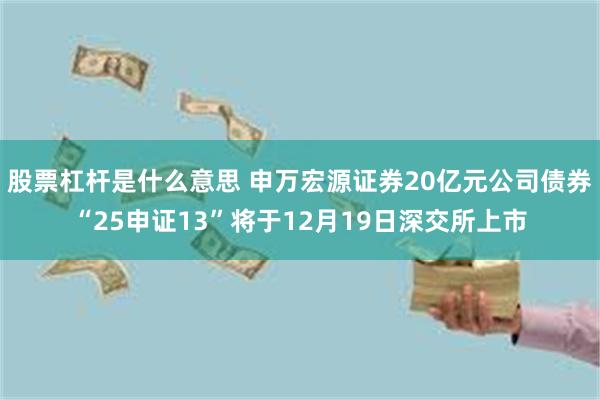 股票杠杆是什么意思 申万宏源证券20亿元公司债券“25申证13”将于12月19日深交所上市