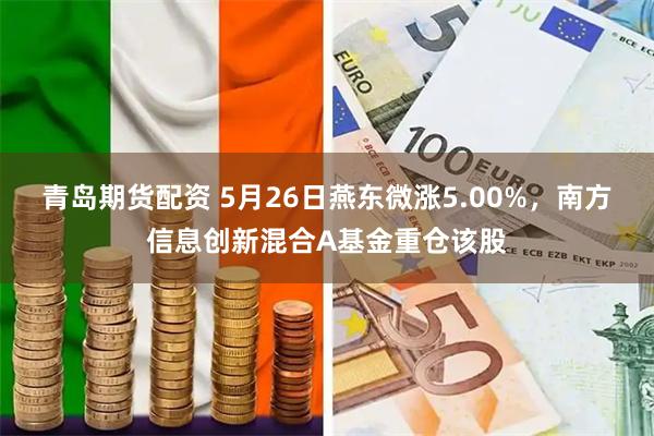青岛期货配资 5月26日燕东微涨5.00%，南方信息创新混合A基金重仓该股