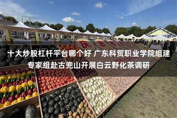 十大炒股杠杆平台哪个好 广东科贸职业学院组建专家组赴古兜山开展白云野化茶调研