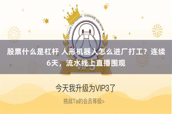 股票什么是杠杆 人形机器人怎么进厂打工？连续6天，流水线上直播围观