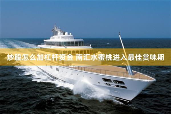 炒股怎么加杠杆资金 南汇水蜜桃进入最佳赏味期
