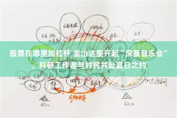 股票在哪里加杠杆 金山这里开起“深蓝音乐会”，科研工作者与村民共赴夏日之约