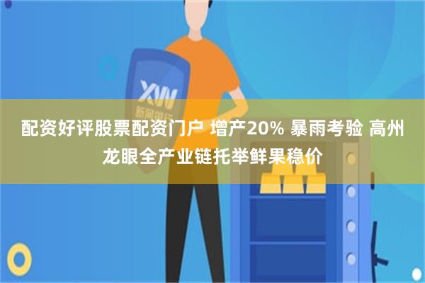 配资好评股票配资门户 增产20% 暴雨考验 高州龙眼全产业链托举鲜果稳价