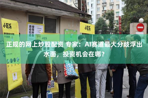 正规的网上炒股配资 专家：AI赛道最大分歧浮出水面，投资机会在哪？