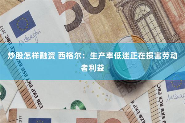 炒股怎样融资 西格尔:生产率低迷正在损害劳动者利益