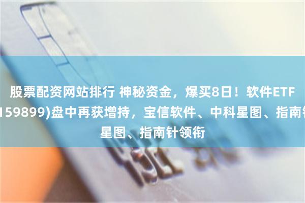 股票配资网站排行 神秘资金，爆买8日！软件ETF招商(159899)盘中再获增持，宝信软件、中科星图、指南针领衔