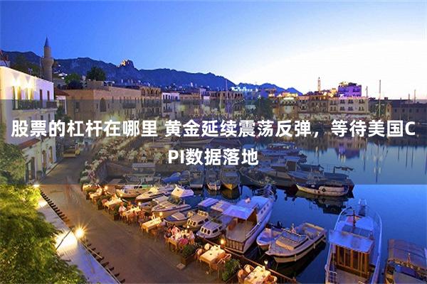 股票的杠杆在哪里 黄金延续震荡反弹，等待美国CPI数据落地