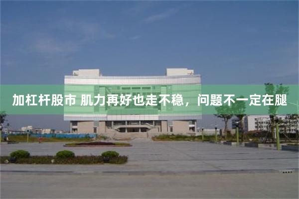 加杠杆股市 肌力再好也走不稳，问题不一定在腿