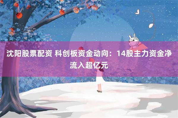 沈阳股票配资 科创板资金动向：14股主力资金净流入超亿元