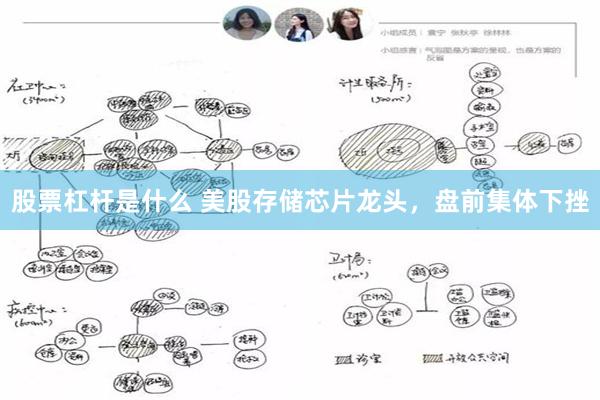 股票杠杆是什么 美股存储芯片龙头，盘前集体下挫