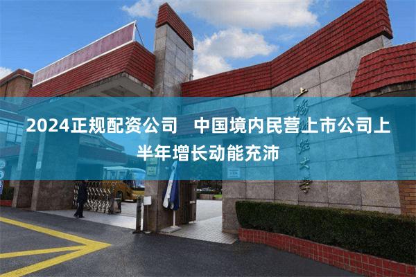 2024正规配资公司   中国境内民营上市公司上半年增长动能充沛