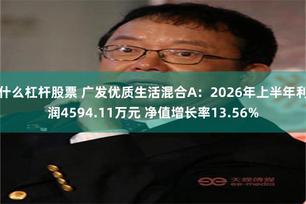 什么杠杆股票 广发优质生活混合A：2026年上半年利润4594.11万元 净值增长率13.56%