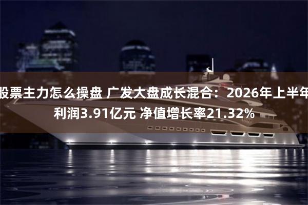 股票主力怎么操盘 广发大盘成长混合：2026年上半年利润3.91亿元 净值增长率21.32%