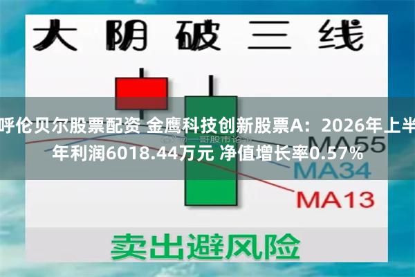 呼伦贝尔股票配资 金鹰科技创新股票A：2026年上半年利润6018.44万元 净值增长率0.57%