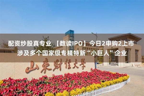 配资炒股真专业 【数读IPO】今日2申购2上市 涉及多个国家级专精特新“小巨人”企业