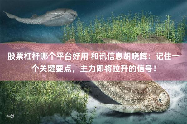 股票杠杆哪个平台好用 和讯信息胡晓辉：记住一个关键要点，主力即将拉升的信号！