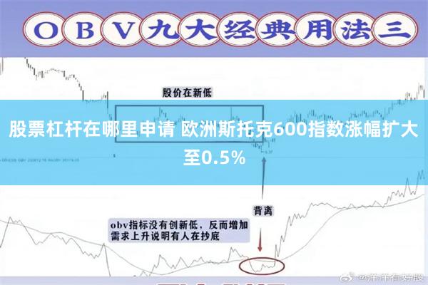 股票杠杆在哪里申请 欧洲斯托克600指数涨幅扩大至0.5%