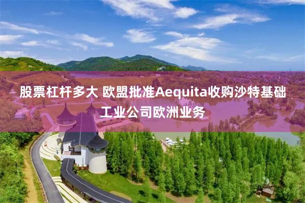 股票杠杆多大 欧盟批准Aequita收购沙特基础工业公司欧洲业务