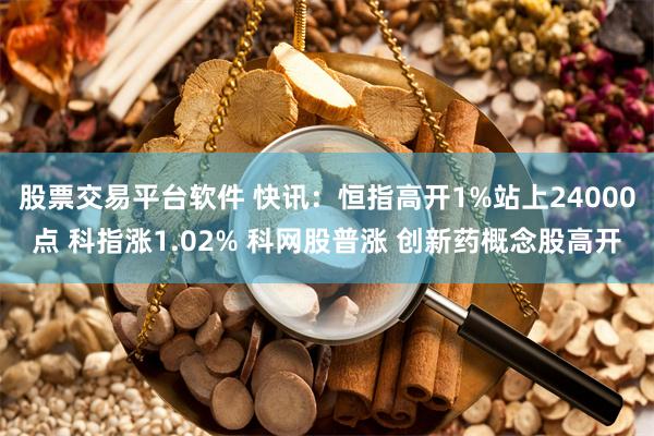股票交易平台软件 快讯：恒指高开1%站上24000点 科指涨1.02% 科网股普涨 创新药概念股高开