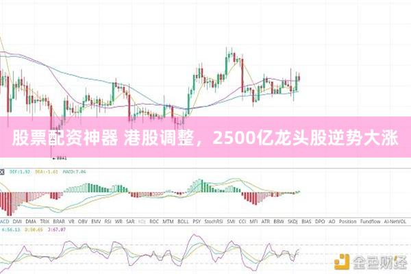 股票配资神器 港股调整，2500亿龙头股逆势大涨
